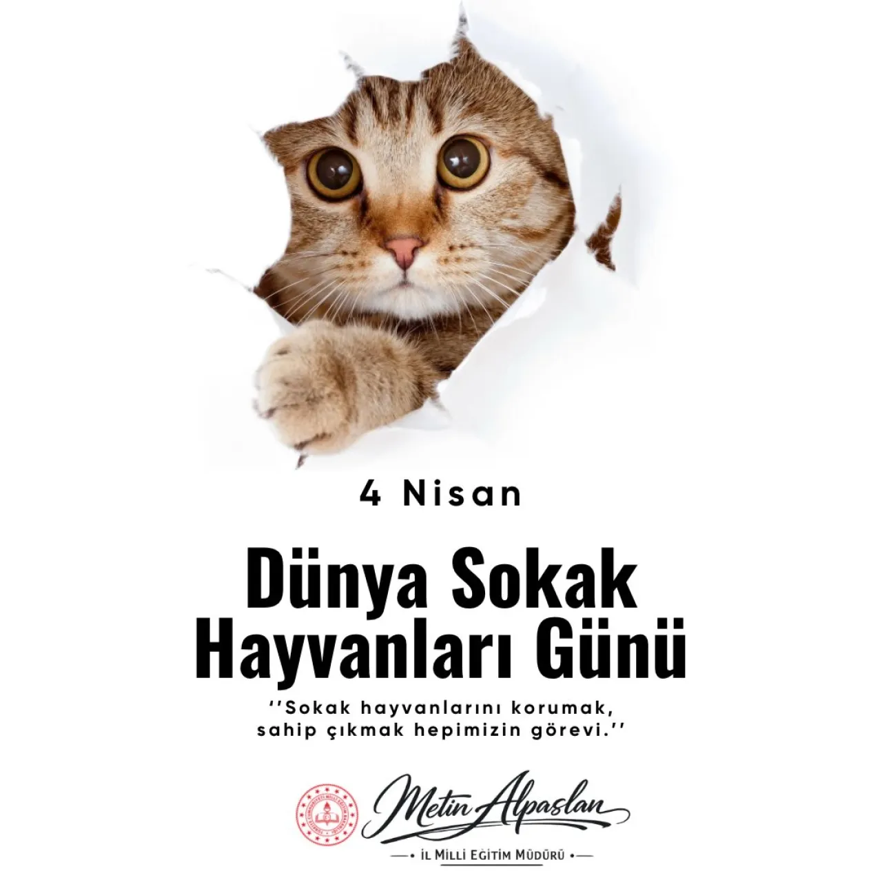 Aksaray İl Milli Eğitim Müdürü Metin Alpaslan'dan Dünya Sokak Hayvanları Günü Mesajı
