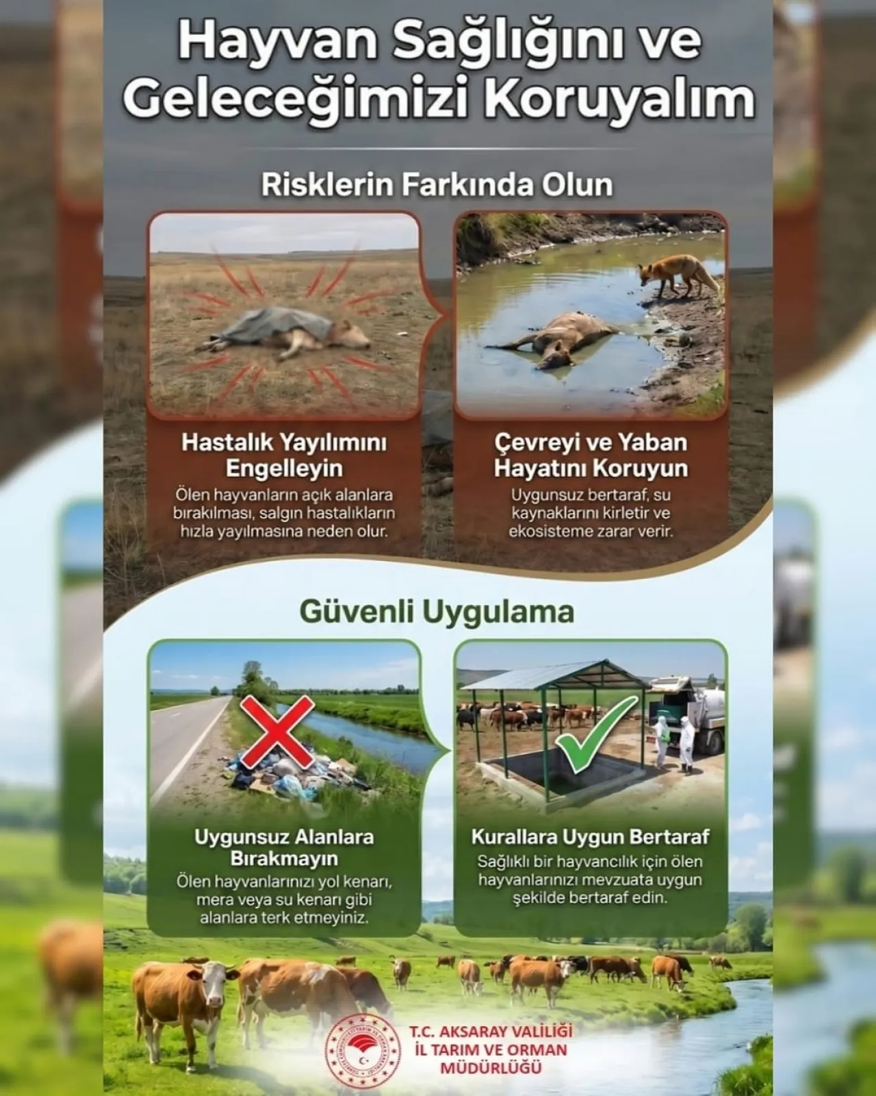 Aksaray'da Hayvan Sağlığı ve Gelecek Nesiller İçin Koruma Çağrısı