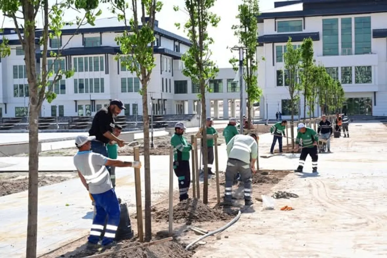 Aksaray'da Yeni Millet Bahçesi İçin Ağaç Dikimi Başladı