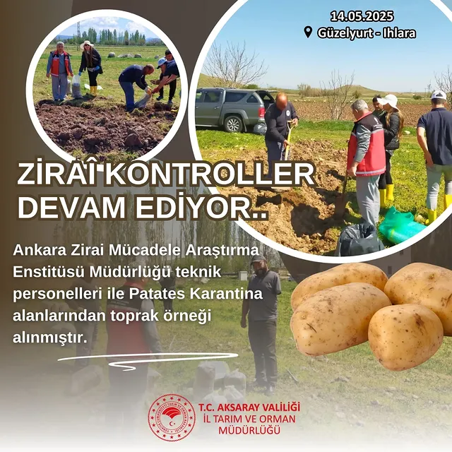 Aksaray'da Patates Karantina Alanlarında Toprak Örnekleri Alındı