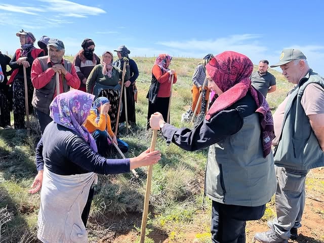 Aksaray'da 197 Bin Fidanın Bakımı Devam Ediyor