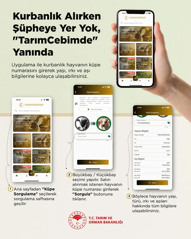 Aksaray'da Kurbanlık Alımında Dikkat Edilmesi Gerekenler