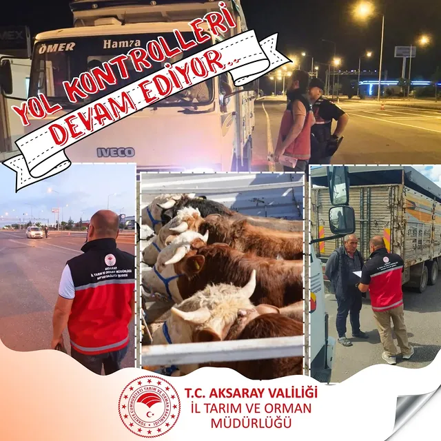 Aksaray'da Kurban Bayramı Öncesi Hayvan Hareketlerine Denetim Artırıldı
