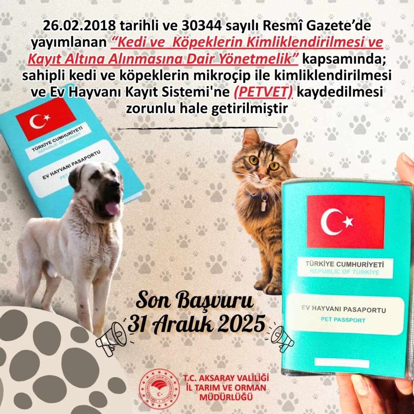 Aksaray'da Kedi ve Köpeklerin Mikroçip Takılması Zorunlu Hale Geldi
