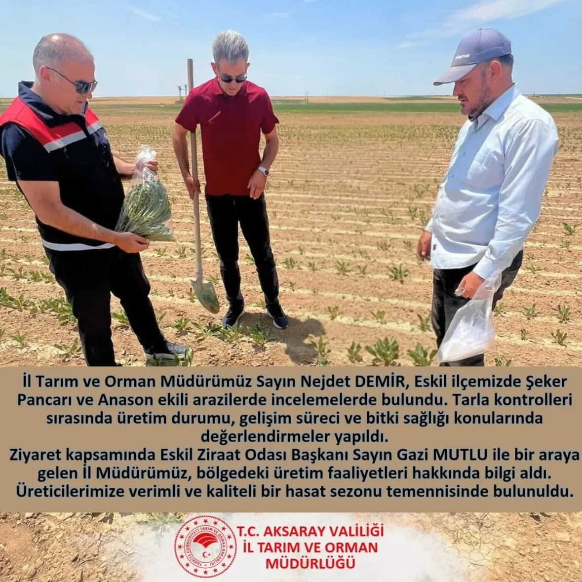 Aksaray'da Tarım İncelemeleri: Üretim Durumu ve Bitki Sağlığı Değerlendirildi