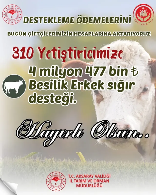 Aksaray'da 4 Milyon 477 Bin TL Besilik Erkek Sığır Desteği Çiftçilere Aktarıldı