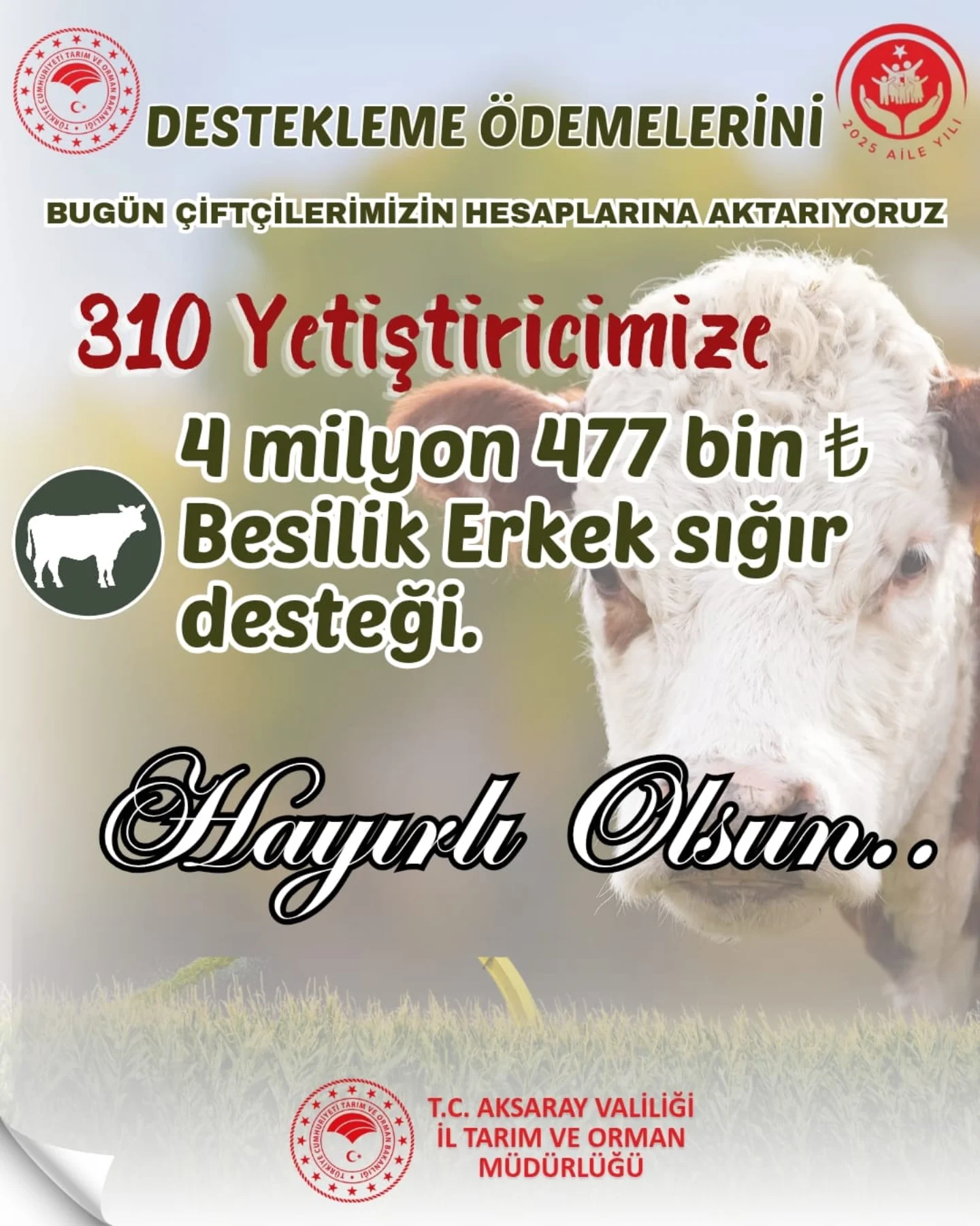 Aksaray'da 4 Milyon 477 Bin TL Besilik Erkek Sığır Desteği Çiftçilere Aktarıldı