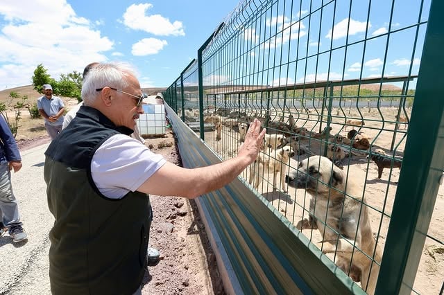 Aksaray'da Uluslararası Standartlarda Hayvan Yaşam Merkezi Açıldı