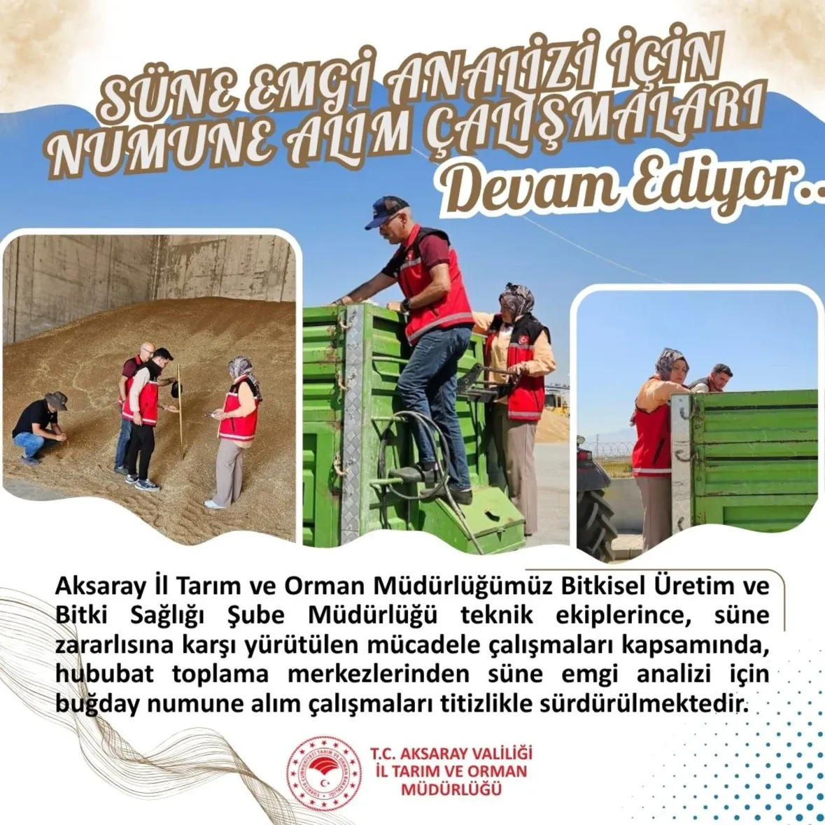 Aksaray'da Hububat Kalitesini Koruma Amaçlı Su Ne Emgi Analizleri Devam Ediyor