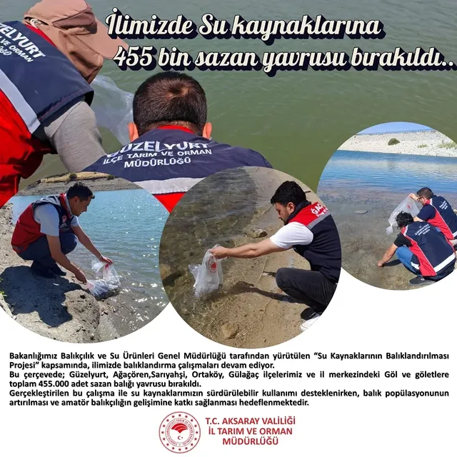 Aksaray'da Su Kaynaklarına 455 Bin Sazan Yavrusu Bırakıldı