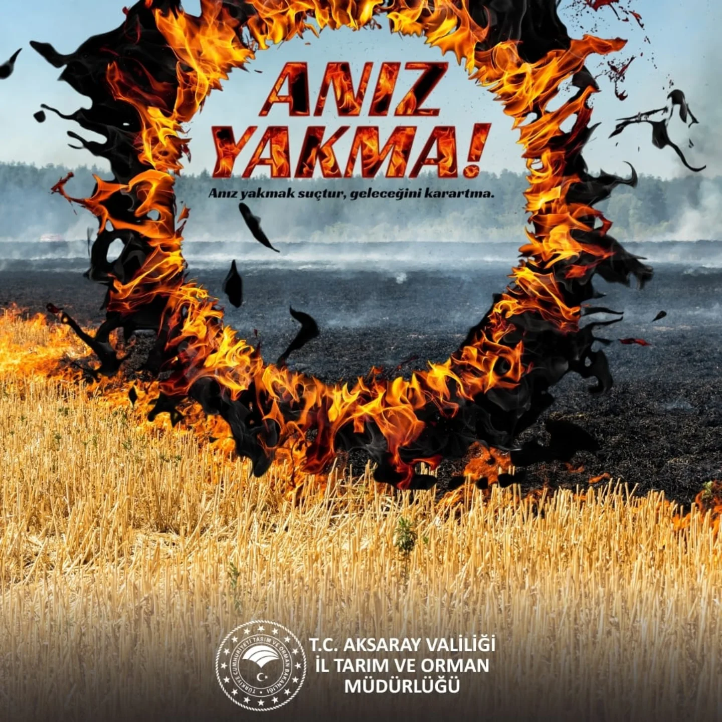 Aksaray'da Anız Yakmak Suç: Tarım İl Müdürü Demir Uyardı
