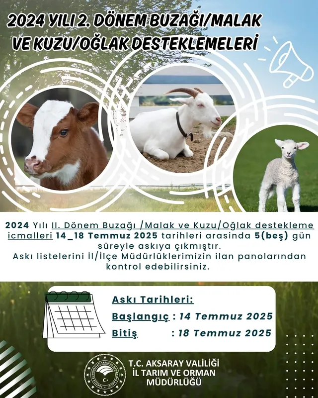 Aksaray'da Buzağı ve Kuzu Desteklemeleri Askıya Çıktı