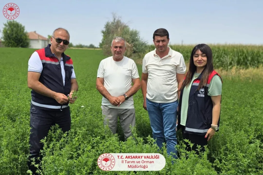 Aksaray'da Üreticilere Ziyaret: Mısır ve Yonca Tarlaları İncelendi
