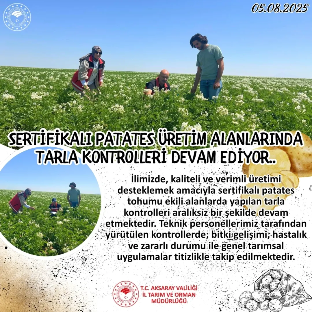 Aksaray'da Sertifikalı Patates Tohumu Ekili Alanlarda Tarla Kontrolleri Devam Ediyor
