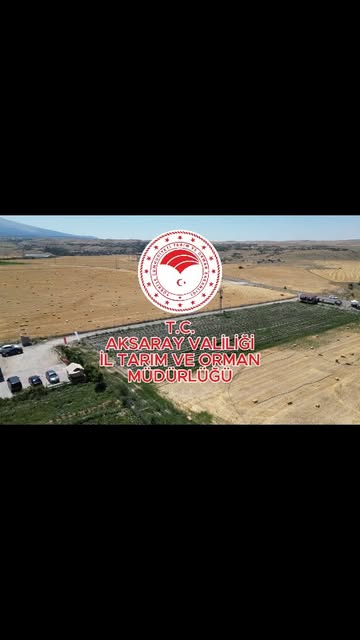 Aksaray'da Çilek Fidesi Dağıtımı: Üreticiler Toprakla Buluştu