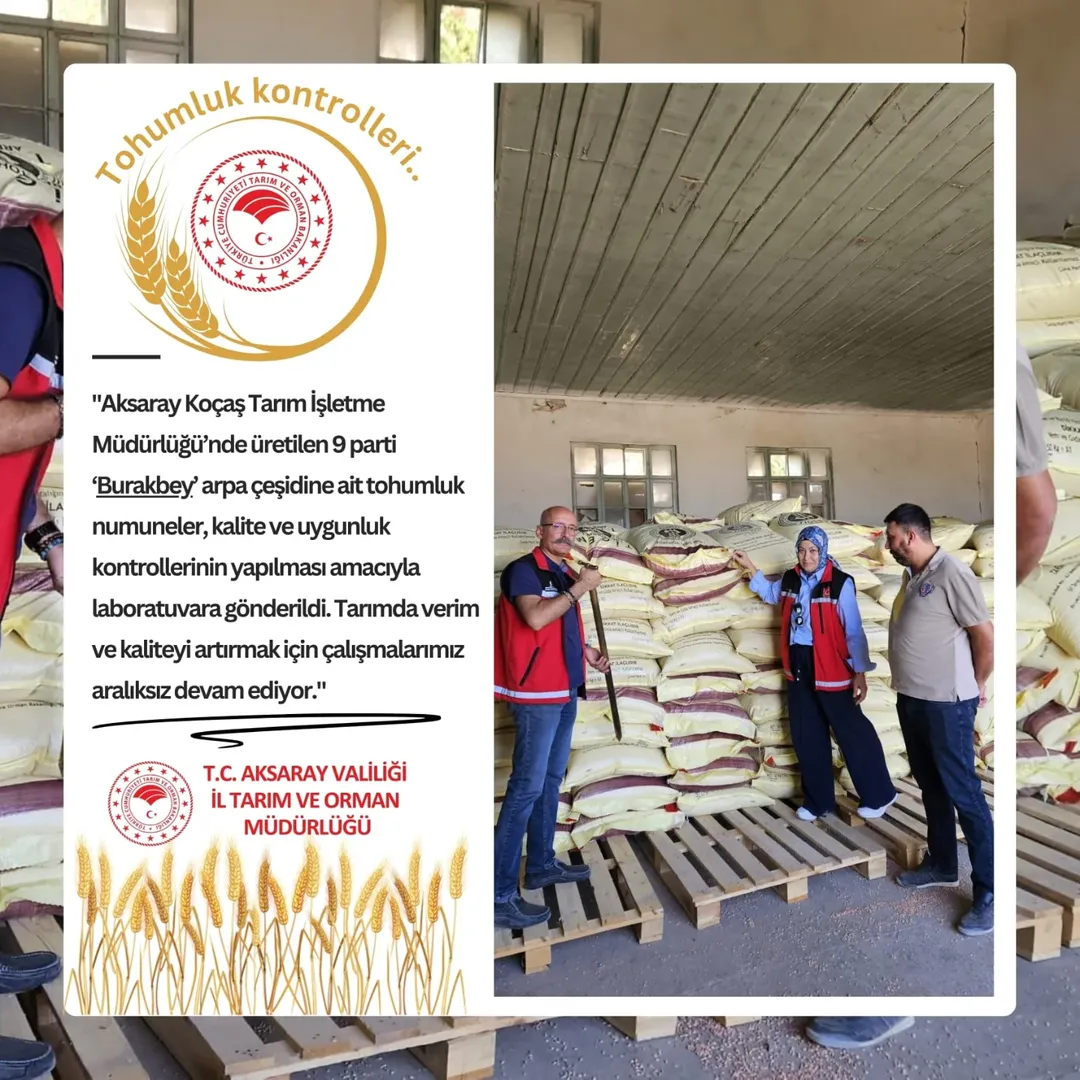 Aksaray'da Arpa Tohumları Kalite Kontrolüne Girdi