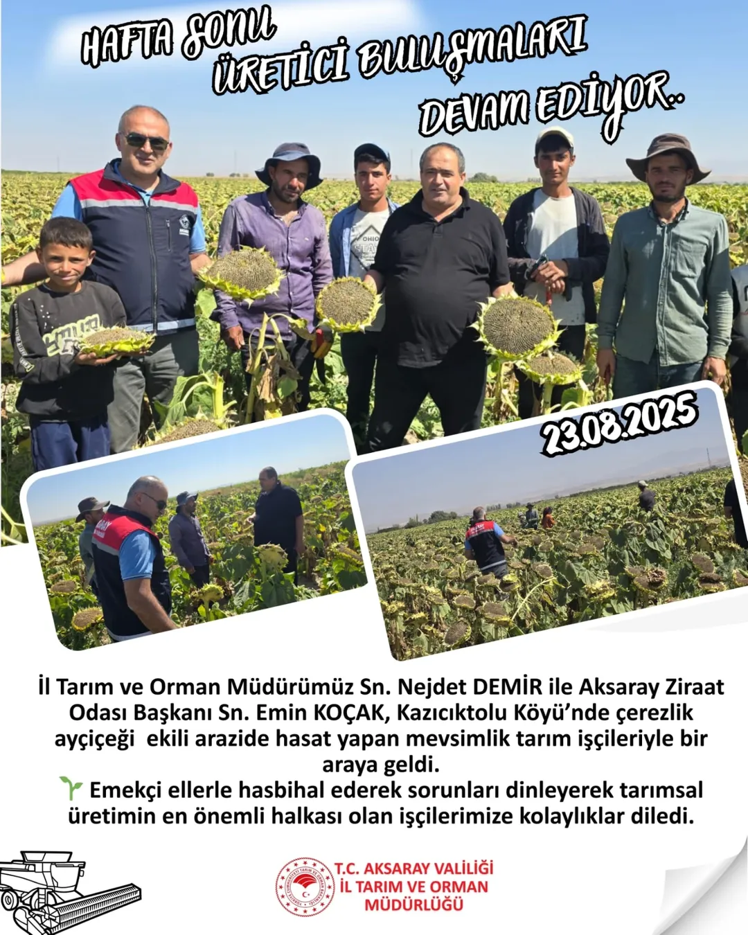 Aksaray'da Ayçiçeği Hasadı İşçilerle Buluştu