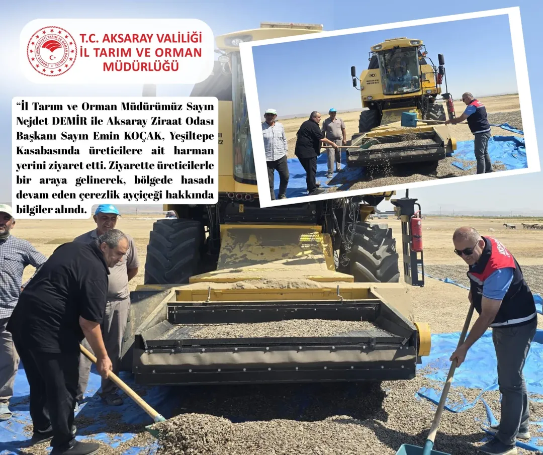 Aksaray'da Çerezlik Ayçiçeği Hasadı Devam Ediyor: Üreticilerle İstişare Toplantısı