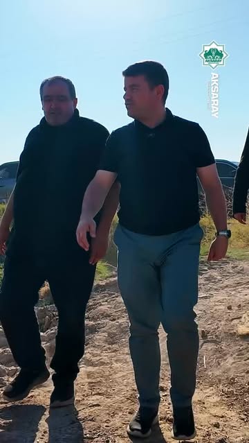 Aksaray'da Çerezlik Ayçiçeği Hasadı Başladı: Başkan Dinçer Biçerdöverin Başında