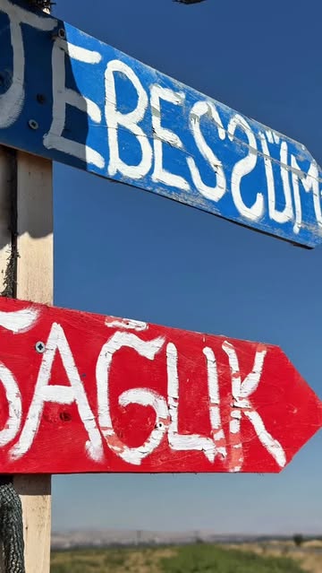 Aksaray Çileği Coğrafi İşaretle Koruma Altına Alınıyor