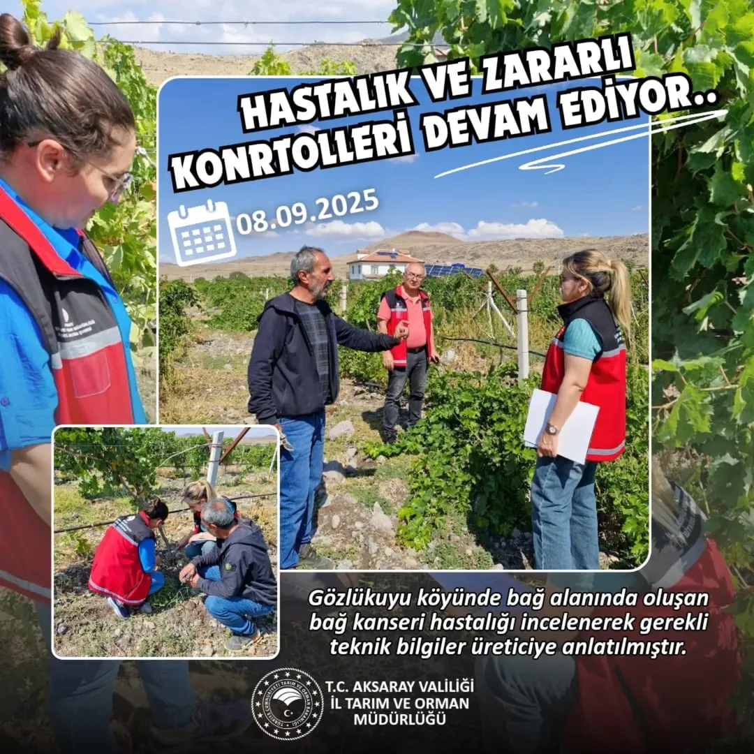 Aksaray'da Bağ Kanseri Hastalığına Karşı Önlemler Artırıldı