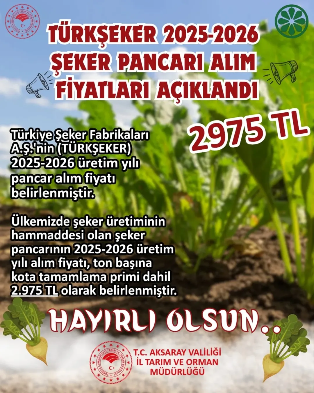 Aksaray'da 2025-2026 Şeker Pancarı Alım Fiyatı Açıklandı