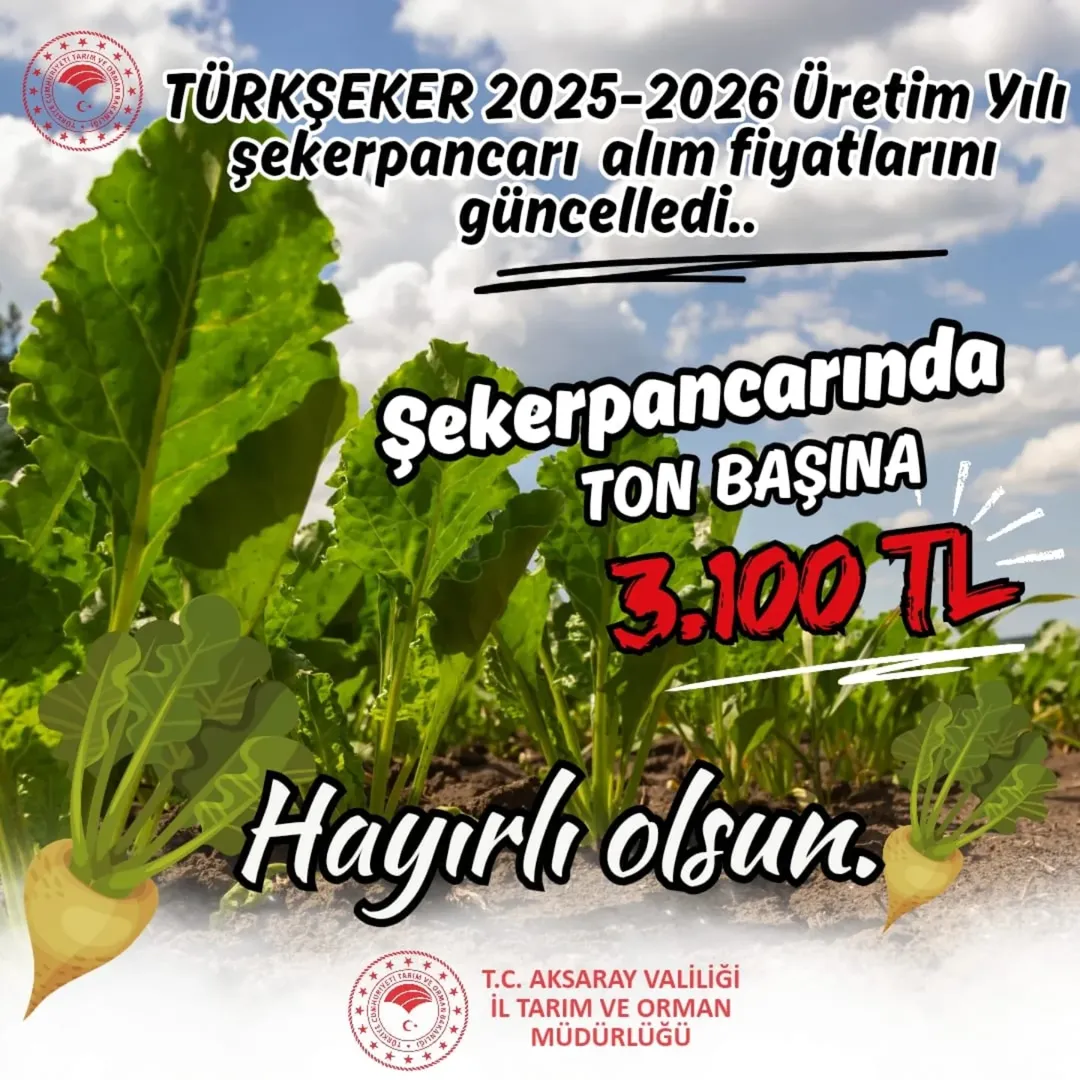 Şekerpancarı Alım Fiyatı Açıklandı: 2025-2026 Üretim Yılında Tonu 3100 TL