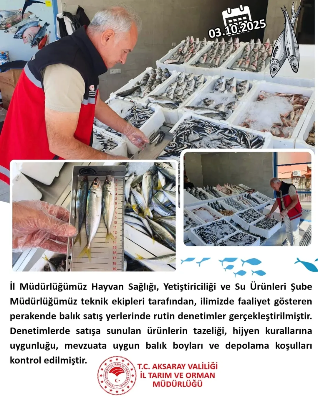 Aksaray'da Balık Satış Yerlerine Yönelik Denetimler Sıkılaştırıldı