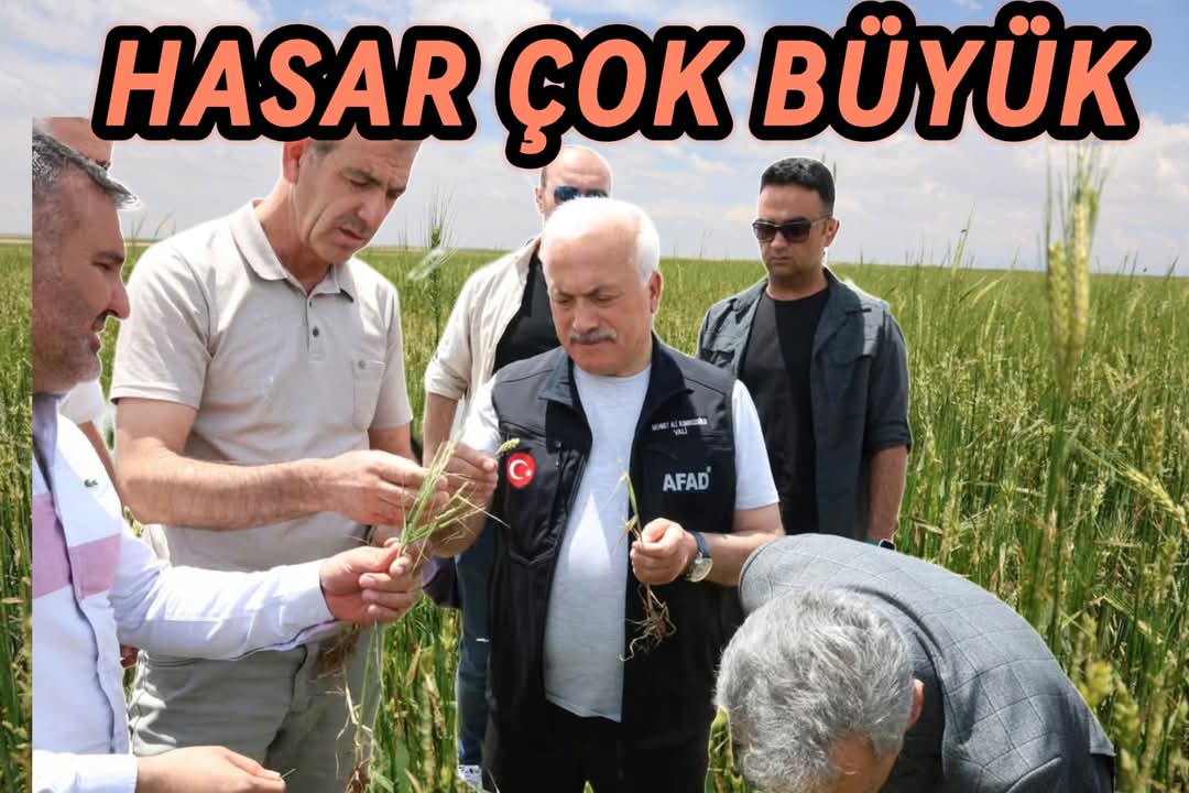 Aksaray'da Dolu Yağışı Tarım Alanlarını Vurdu: Hasar Üç Kat Artış Gösterd