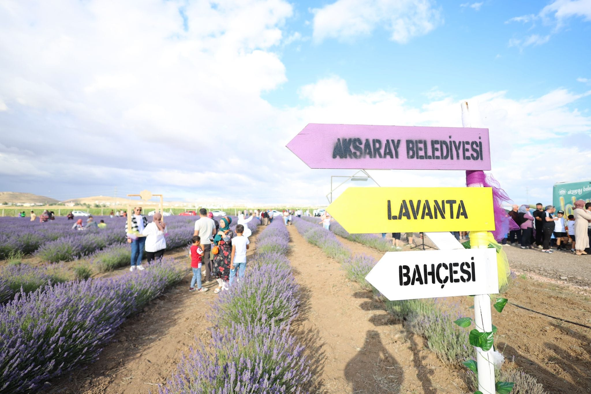 AKSARAY LAVANTA BAHÇESİ ZİYARETÇİLERİNİ BÜYÜLEMEYE DEVAM EDİYOR