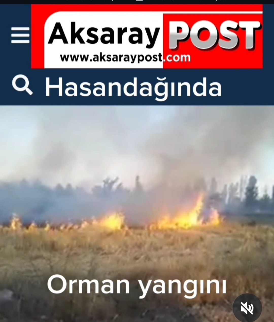 Aksaray Hasandağı'nda orman yangını !