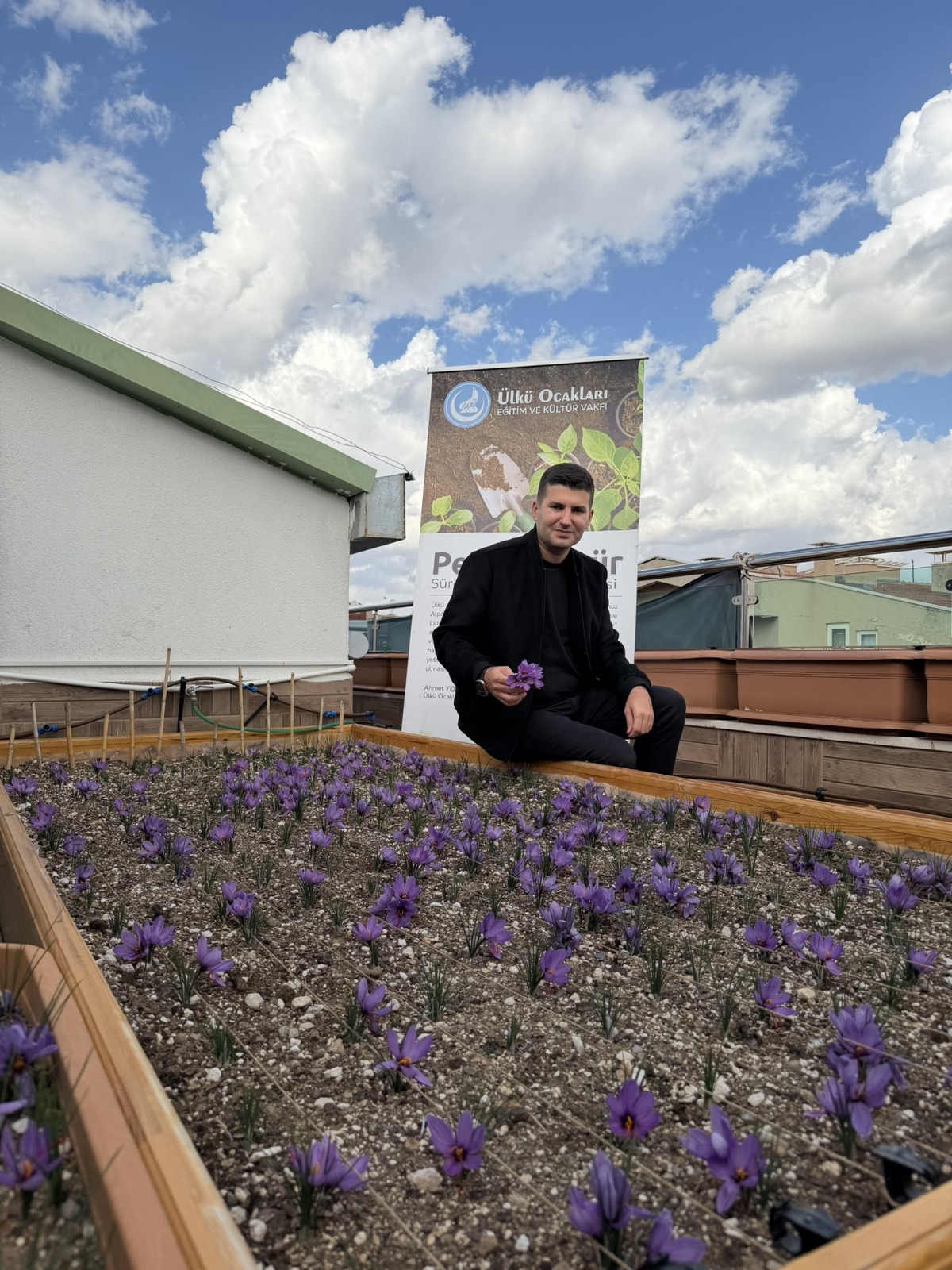 Ülkü Ocakları Genel Merkezi’nin Terasında Safran Hasadı!