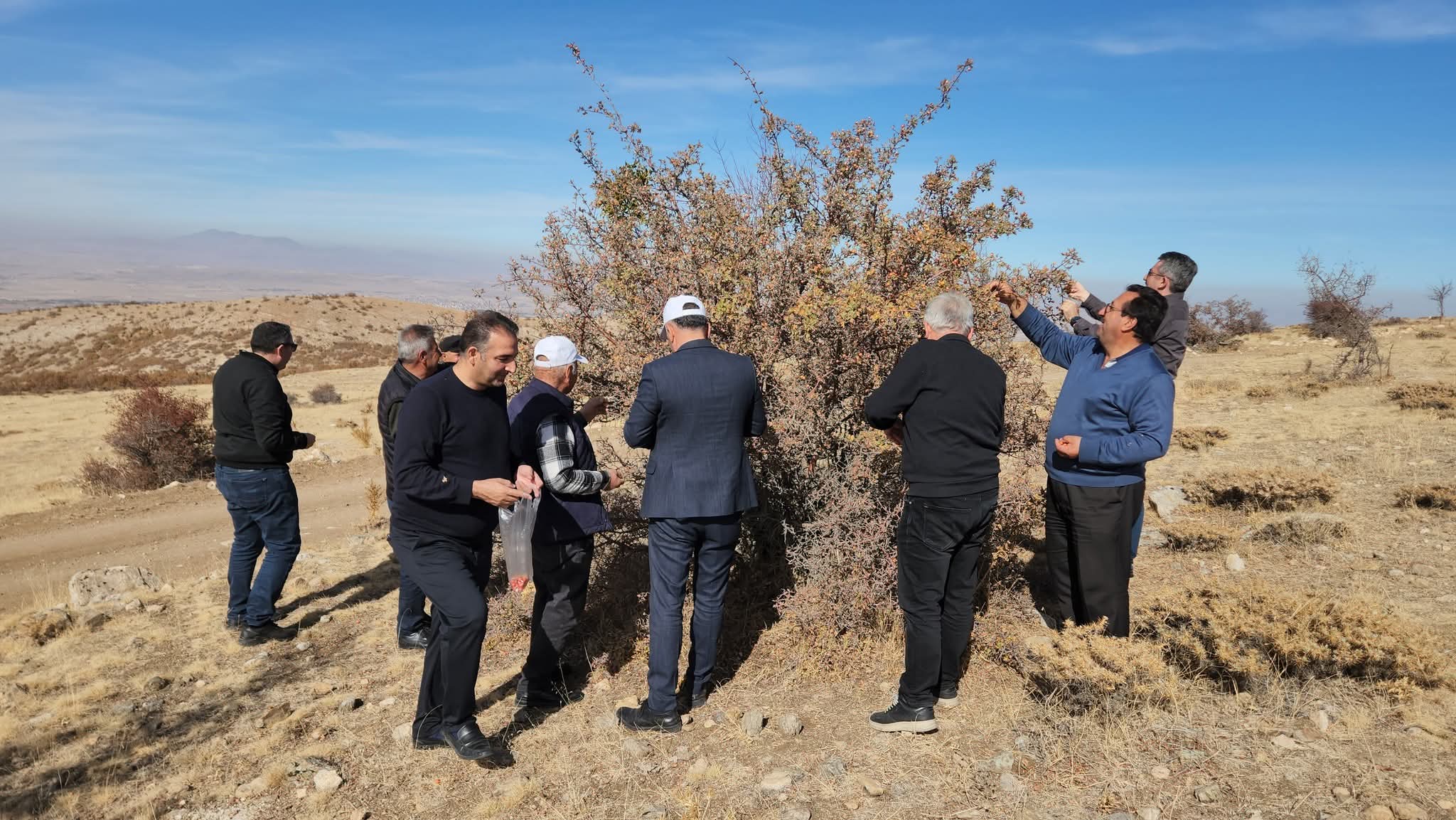 ÇEVRECİLER TOPLADIKLARI ALIÇLARI FİDAN  OLUŞMASI İÇİN ORMAN FİDANLIĞA  TESLİM ETTİLER