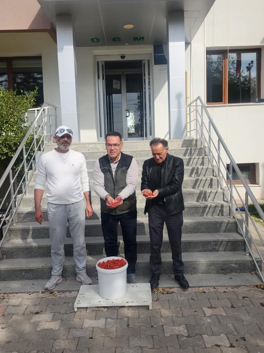 Akyamaç Alıcı Artık Fidana Dönüşüyor: Tohumlar Toplandı, Fidanlık Yolunda**